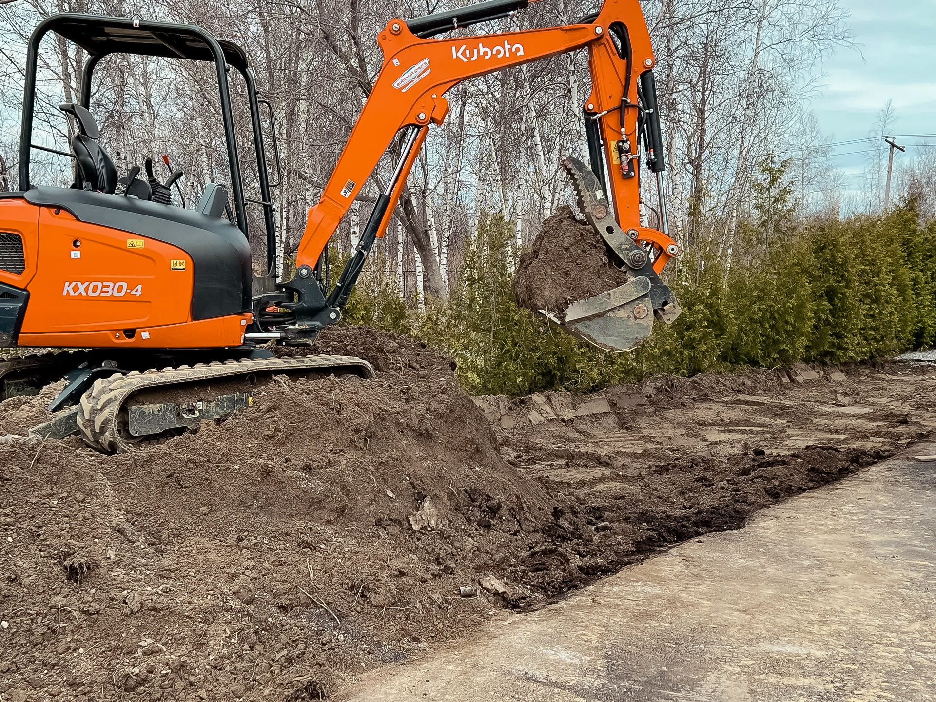 Mini excavator digging soil near a cedar hedge on a residential worksite.