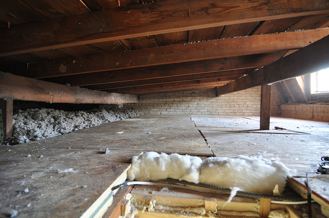 Cellulose insulation
