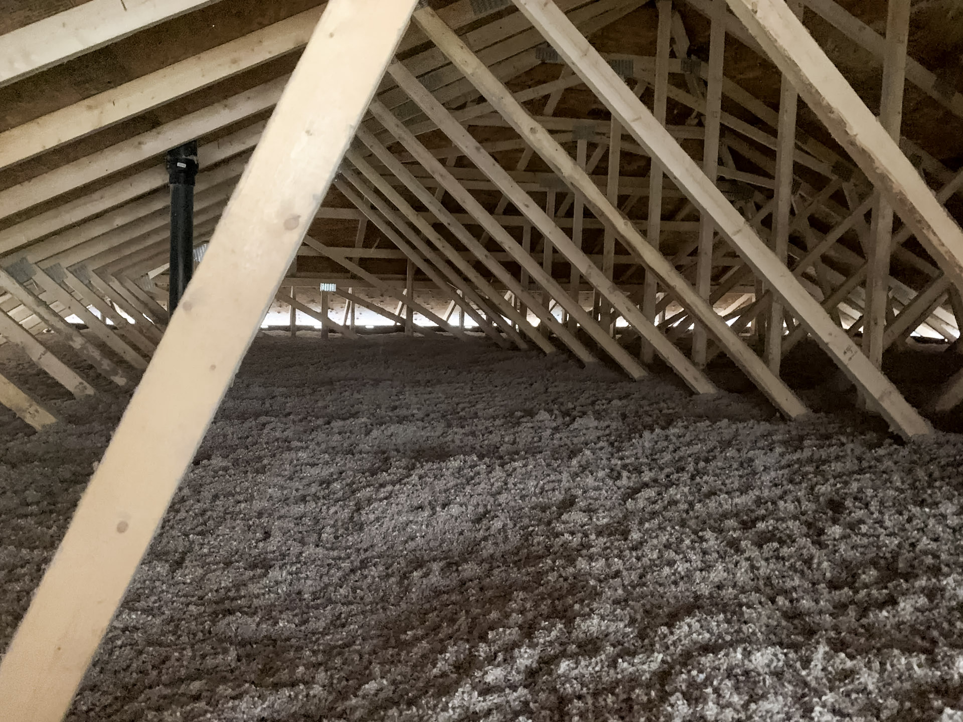Attic with blown-in insulation fibre and exposed wood framing.