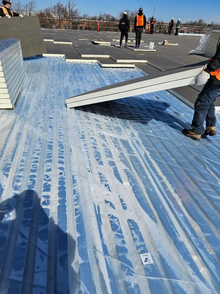 Travailleurs installant des panneaux isolants sur la surface d’un toit plat avec membrane d’étanchéité bleue