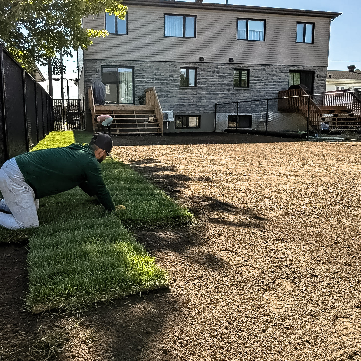 Installation de tourbe en rouleaux dans un jardin résidentiel devant une maison à deux étages.