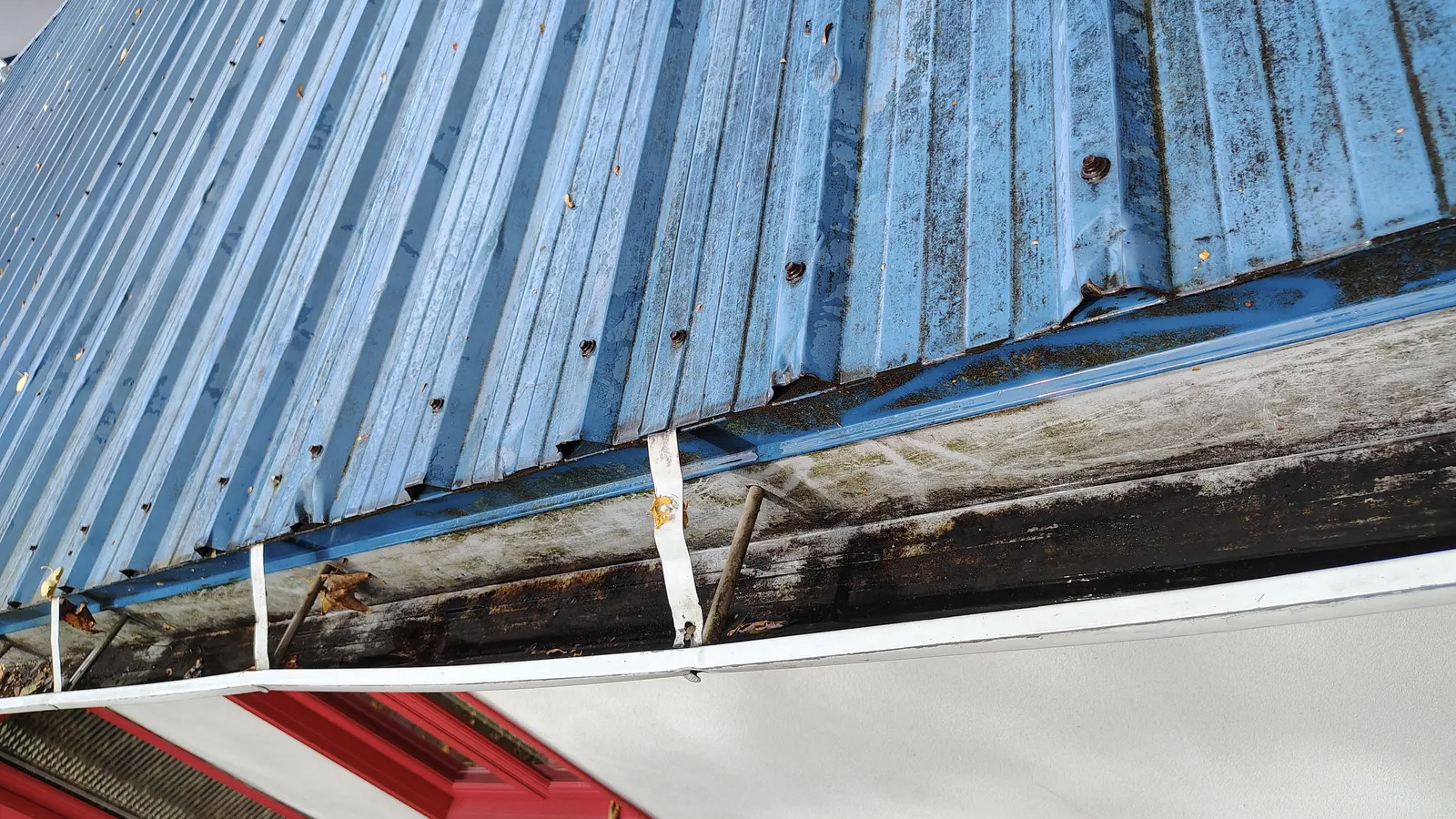 Damaged blue metal roof with dirty gutter, dead leaves and moisture stains on a residential house.