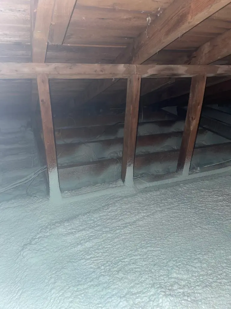 Vide sanitaire isolé à la mousse pulvérisée, avec solives de bois apparentes et zones sombres pouvant indiquer de l’humidité ou de la moisissure.