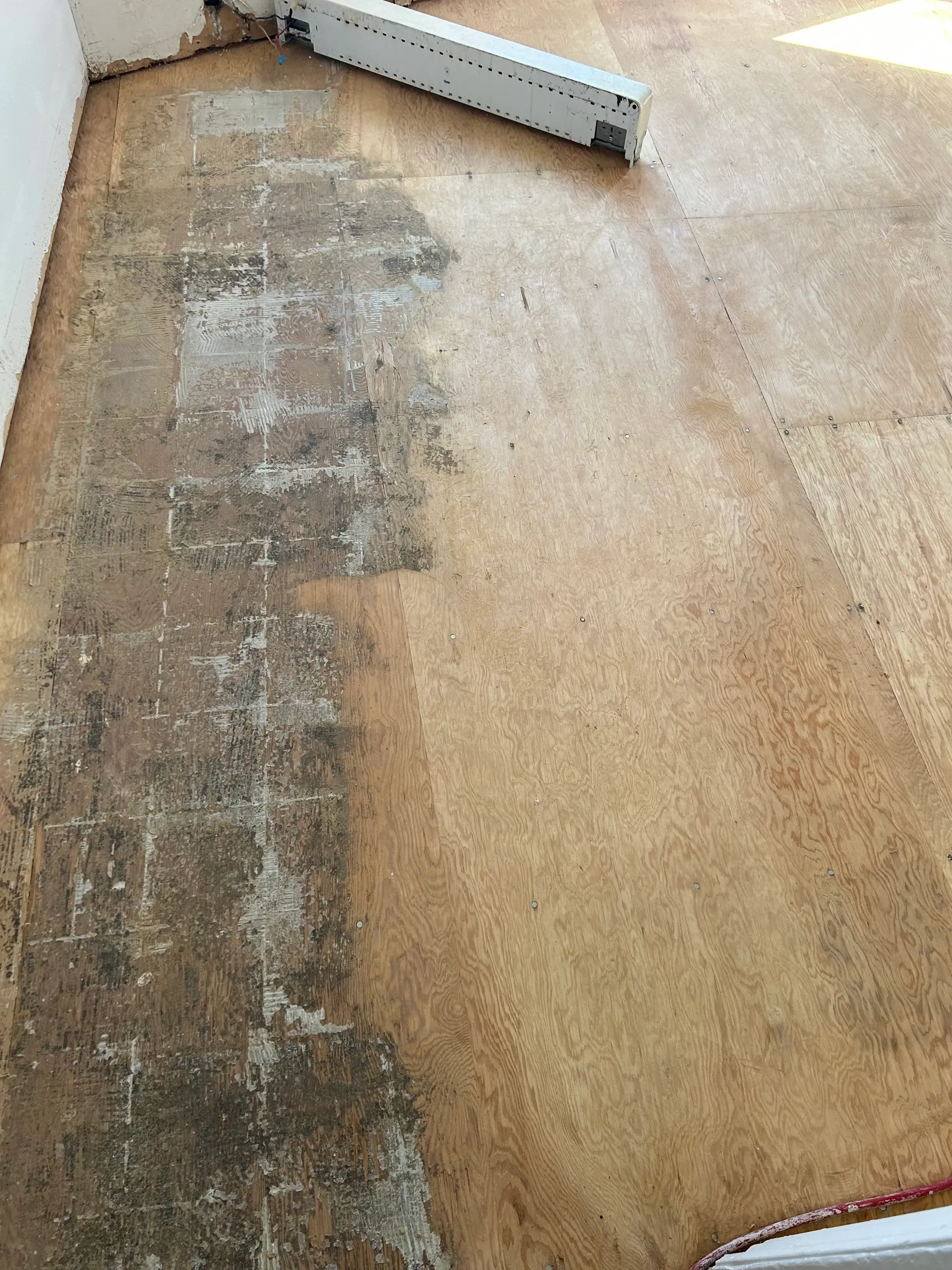 Plywood subfloor with signs of moisture or mold, removed baseboards, and an area prepared for renovation work.