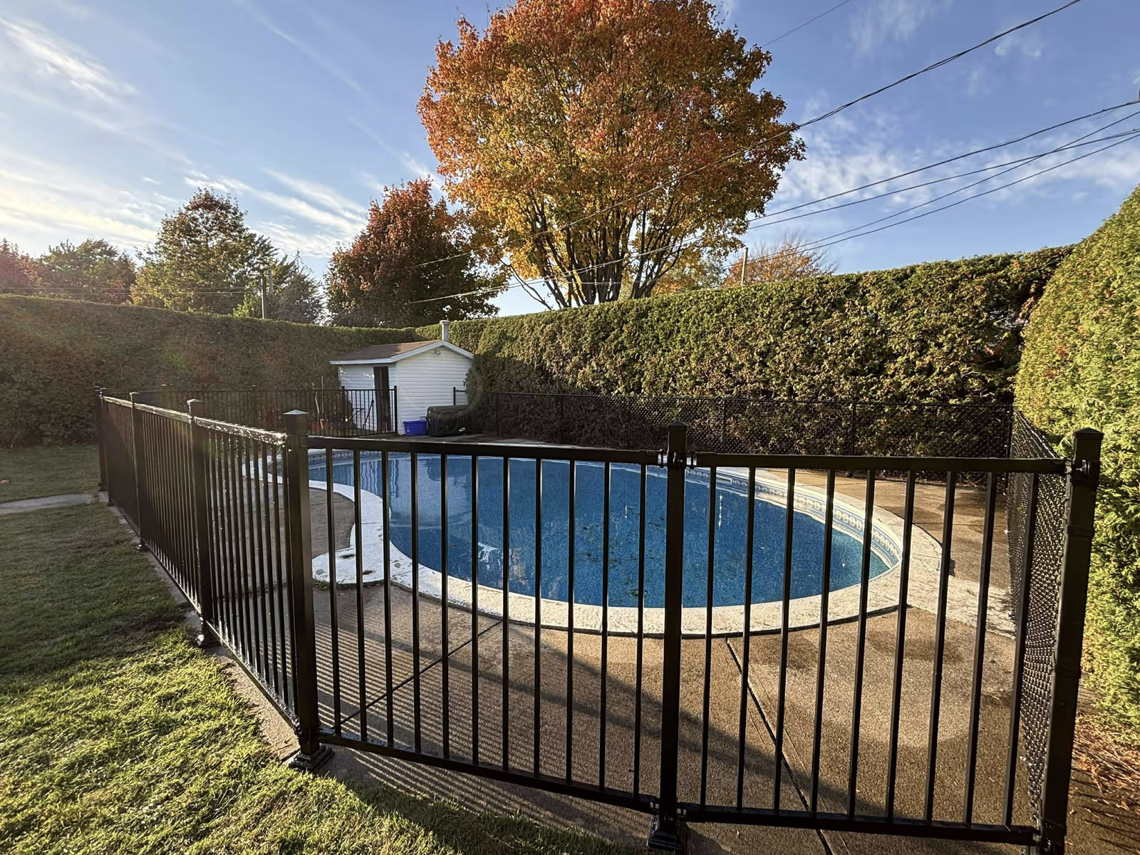 Backyard with in-ground swimming pool, aluminum safety fence, mature hedges and storage shed.